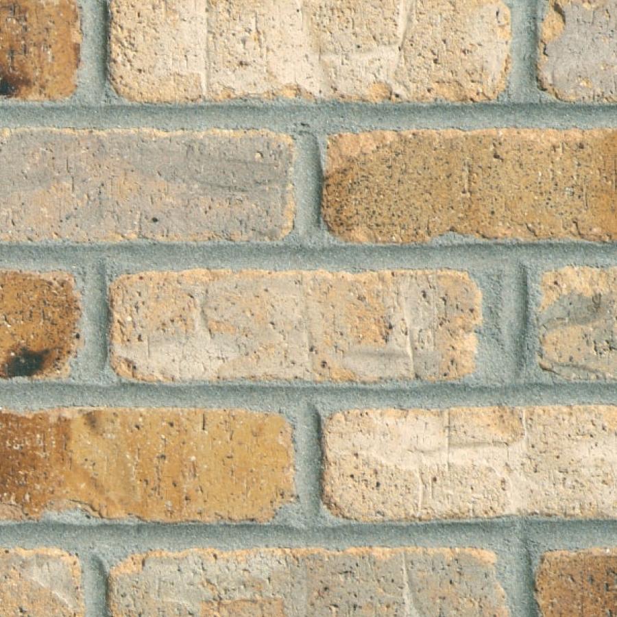 Chesapeake thin brick is a beautiful creamy golden hue perfect as a neutral or as a contrast to a dark wooded living space.