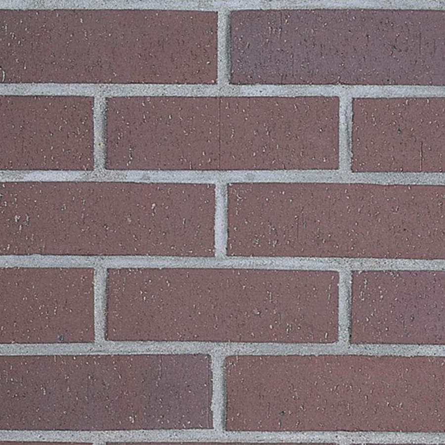 Carob Face Brick and Thin Brick is a commercial classic brick.