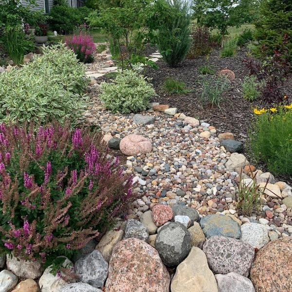 Drought-tolerant landscaping with a dry rock waterfall and stream bed, featuring succulents, native plants, and decorative stones, perfect for sustainable garden design.