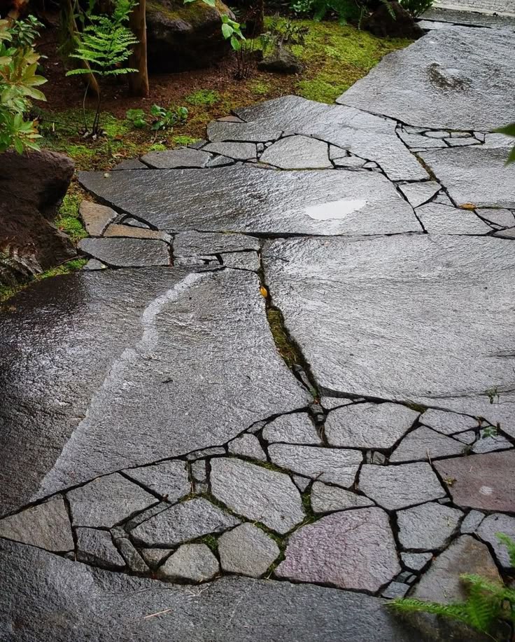 Meandering garden path with dark grey irregular flagstone surrounded by green ground cover and moss.