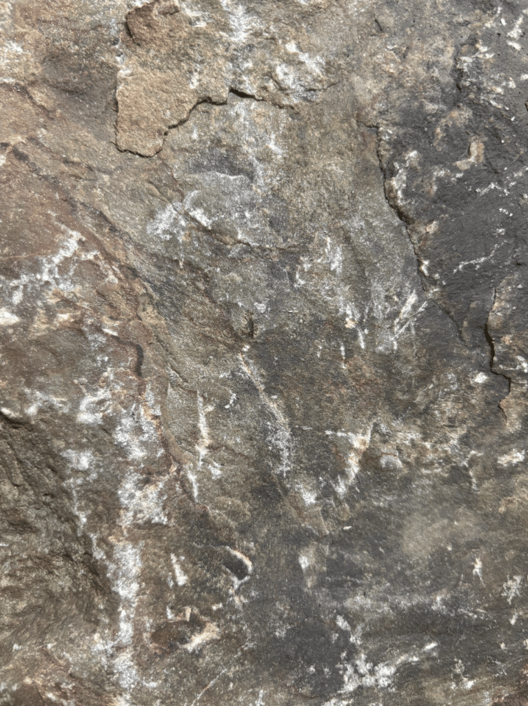 Natural cleft stone surface with rich dark browns, grays, and white veining creating a rugged, organic texture.
