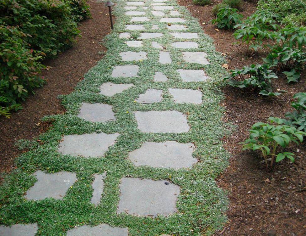 Bluestone large slab Garden Pathway
